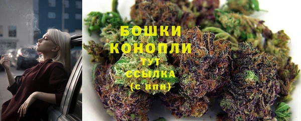гидропоника Балахна