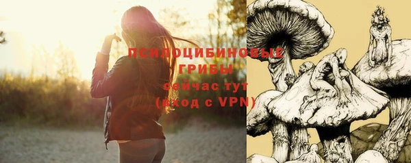 винт Балабаново